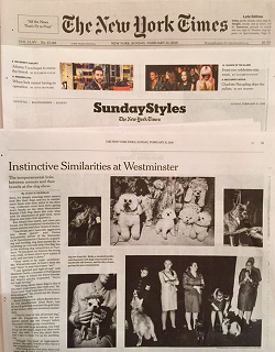 New York Times Westminster Dog Show 2016